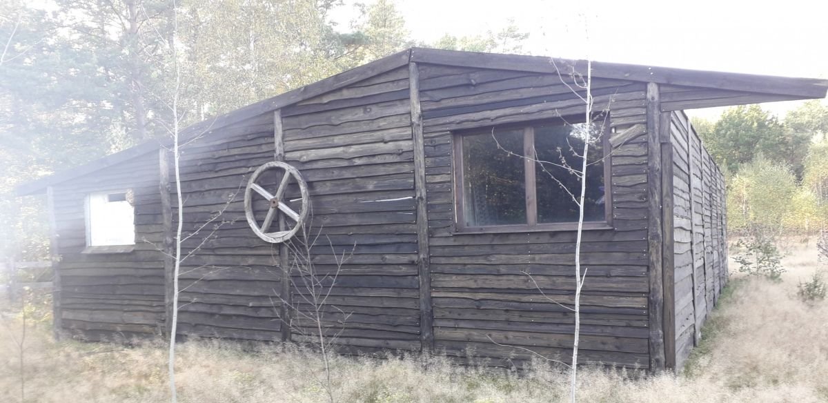 Działka gospodarstwo rolne na sprzedaż Pańki  21 000m2 Foto 4