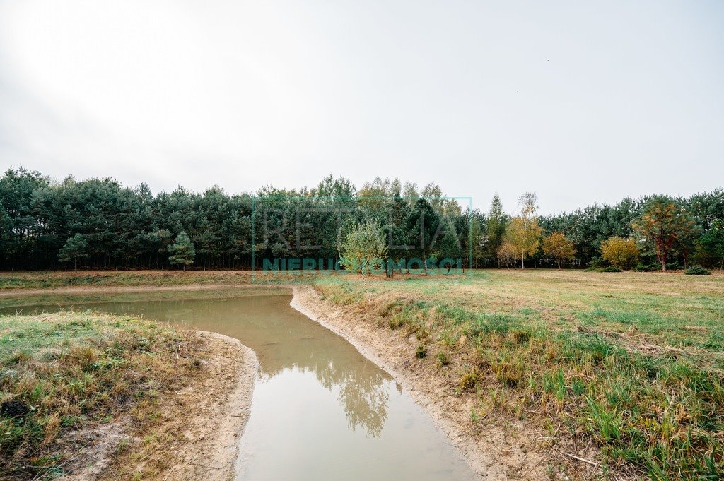 Działka budowlana na sprzedaż Podlasie  12 000m2 Foto 8