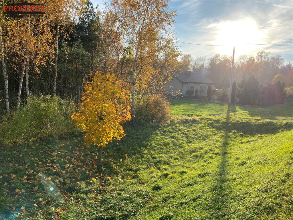 Działka leśna na sprzedaż Barłogi, BARŁOGI  11 400m2 Foto 5