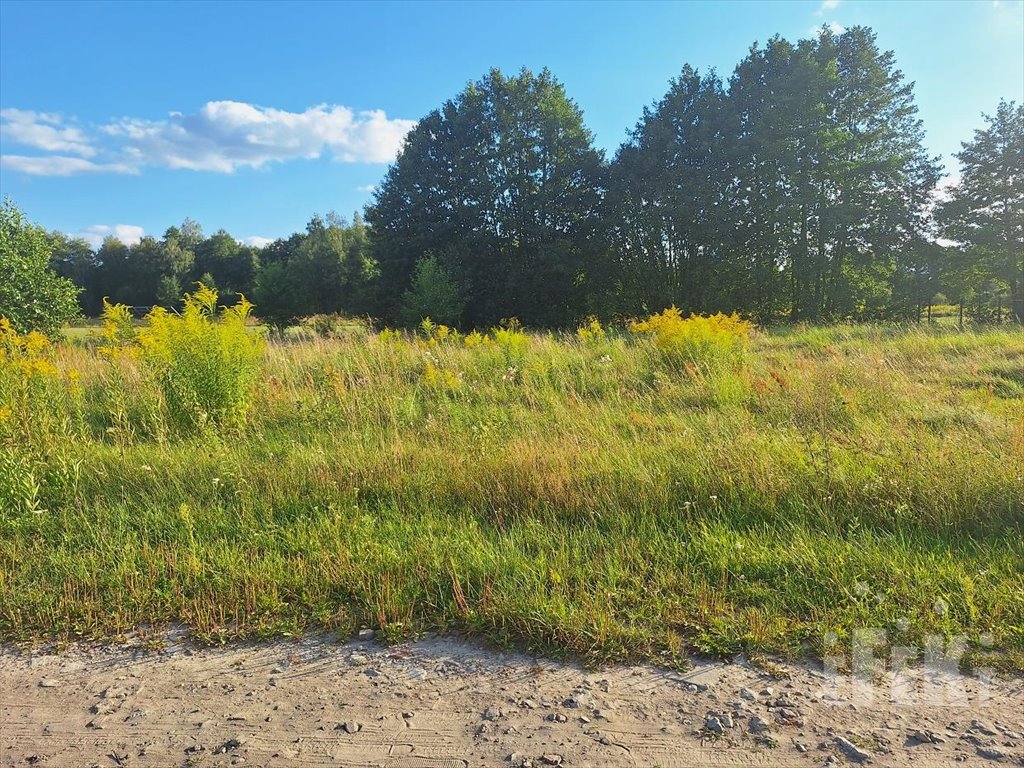 Działka budowlana na sprzedaż Radziwiłłów  1 000m2 Foto 1