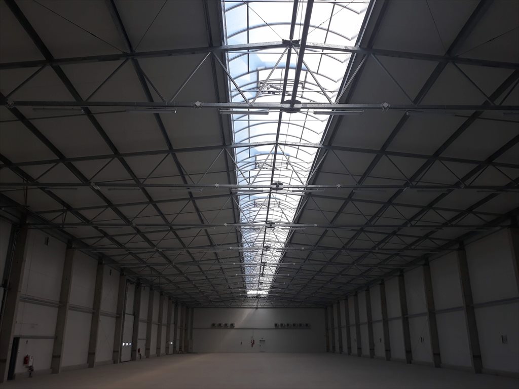 Lokal użytkowy na wynajem Wynajmę Magazyn . Hale - 600m2 - Warszawa + biura 670m2 Foto 1 Lokal użytkowy na wynajem Wynajmę Magazyn . Hale - 600m2 - Warszawa + biura 670m2 Foto 1