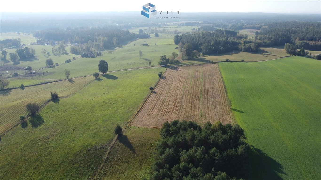 Działka budowlana na sprzedaż Molza  3 331m2 Foto 7