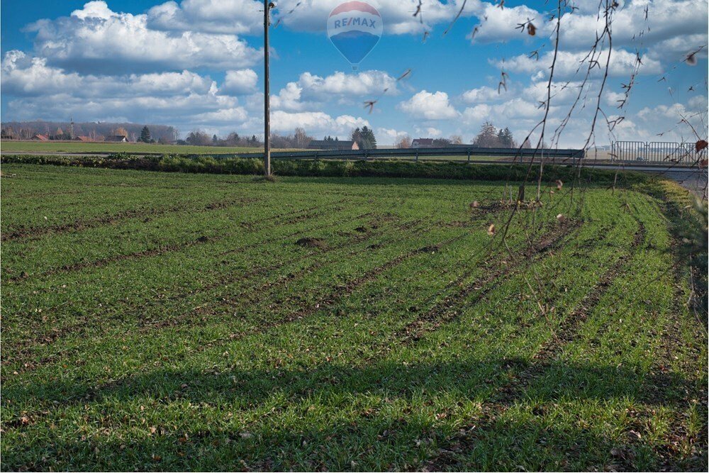 Działka przemysłowo-handlowa na sprzedaż Świdnik Duży, Świdnik Duży Drugi  7 100m2 Foto 10