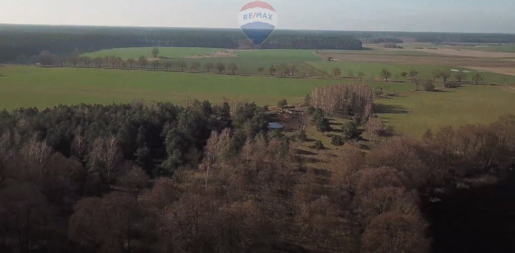 Działka rekreacyjna na sprzedaż Warnice  88 800m2 Foto 7