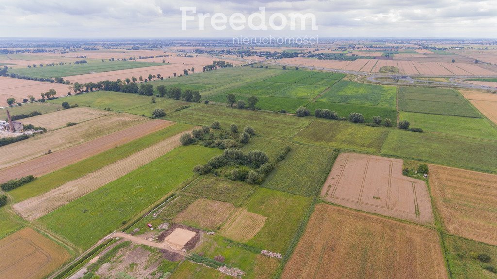 Działka budowlana na sprzedaż Nowy Dwór Gdański, Nasienna  1 039m2 Foto 4