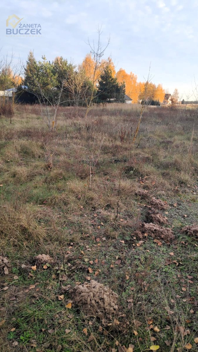 Działka budowlana na sprzedaż Nowe Mostki  1 100m2 Foto 1