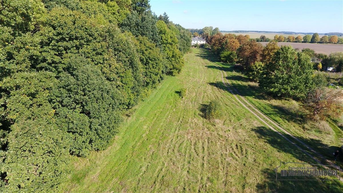 Działka budowlana na sprzedaż Starzyce, działka  4 864m2 Foto 8