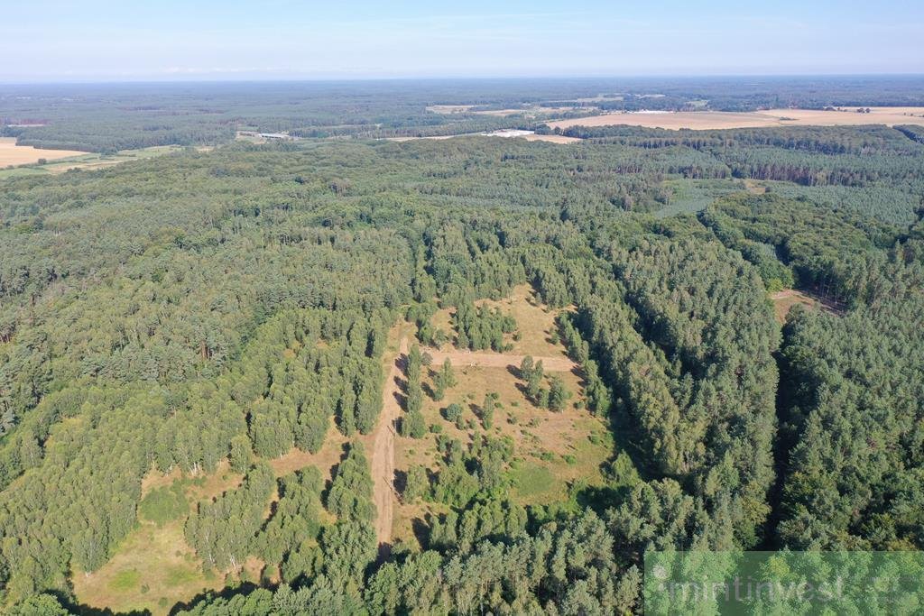 Działka budowlana na sprzedaż Krzywice  3 249m2 Foto 4