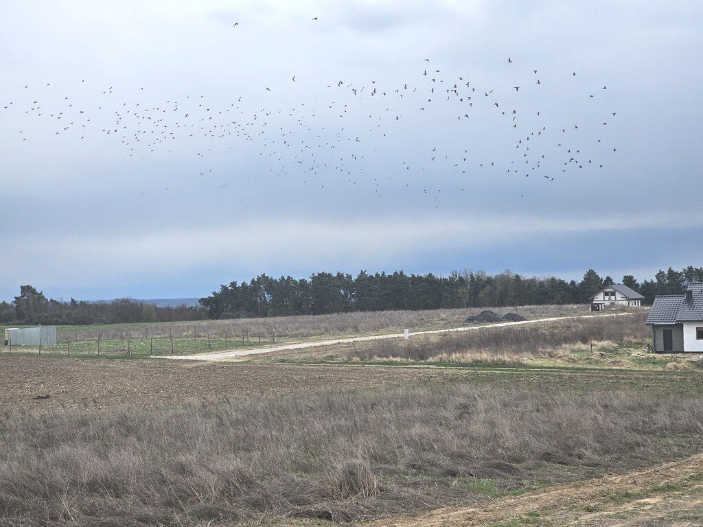 Działka budowlana na sprzedaż Czechów  1 396m2 Foto 1