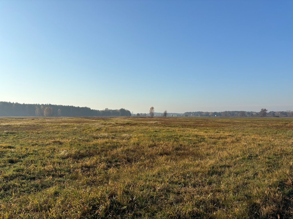 Działka rolna na sprzedaż Nowe Załubice  27 100m2 Foto 3