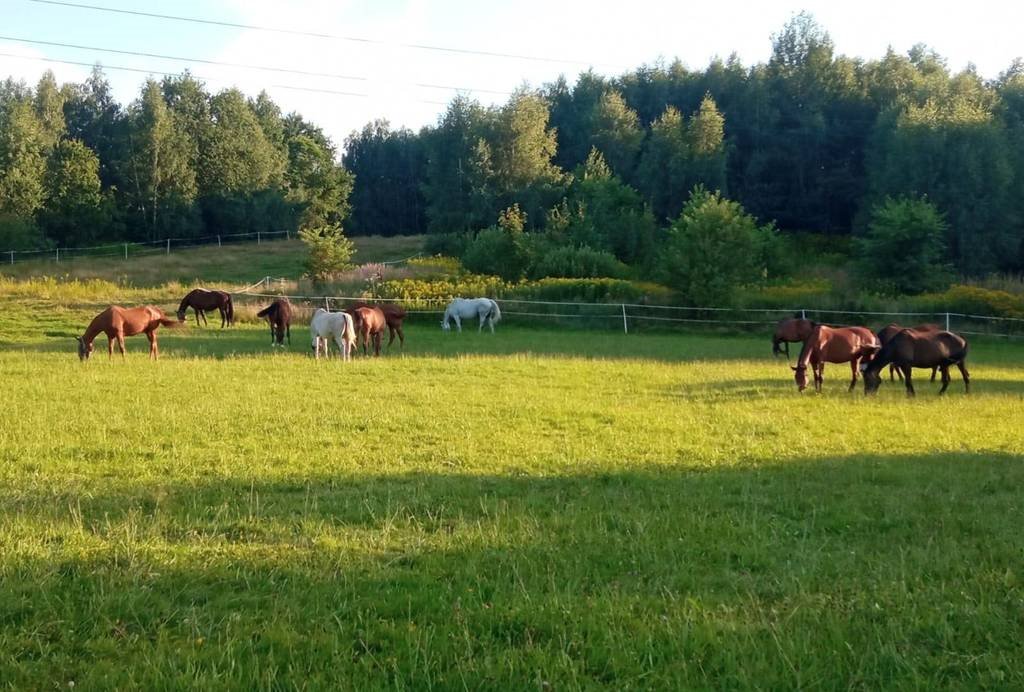 Dom na sprzedaż Zakliczyn  110m2 Foto 10