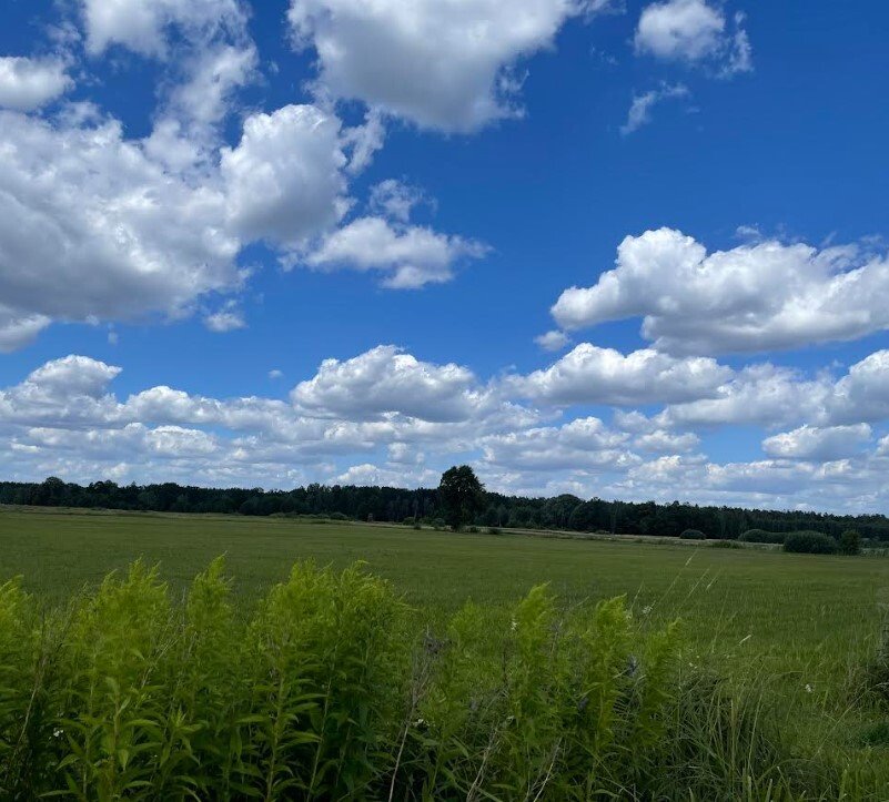 Działka budowlana na sprzedaż Wólka Radzymińska  13 200m2 Foto 3