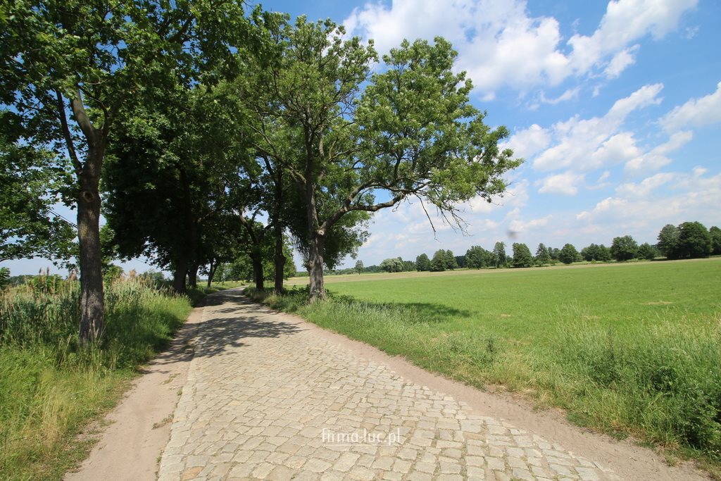 Działka budowlana na sprzedaż Gościnowo 1 688m2 Foto 1 Działka budowlana na sprzedaż Gościnowo 1 688m2 Foto 1