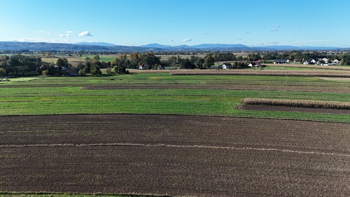 Działka rolna na sprzedaż Książnice, Książnice  13 700m2 Foto 11