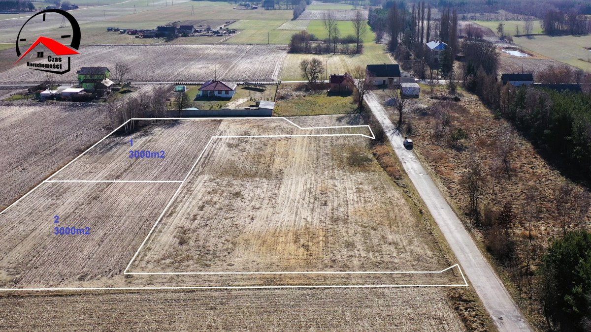 Działka budowlana na sprzedaż Głuszyn  3 000m2 Foto 12