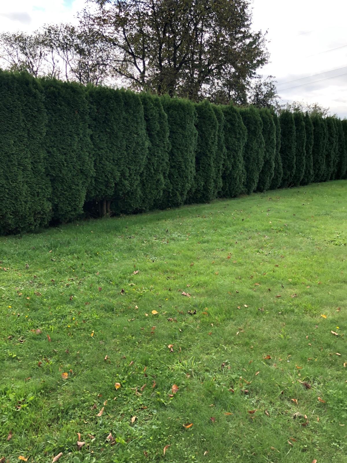 Działka budowlana na sprzedaż Krosno, Krościenko Niżne, Graniczna  1 100m2 Foto 1