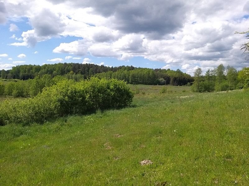 Działka rolna na sprzedaż Nowosady  22 800m2 Foto 6