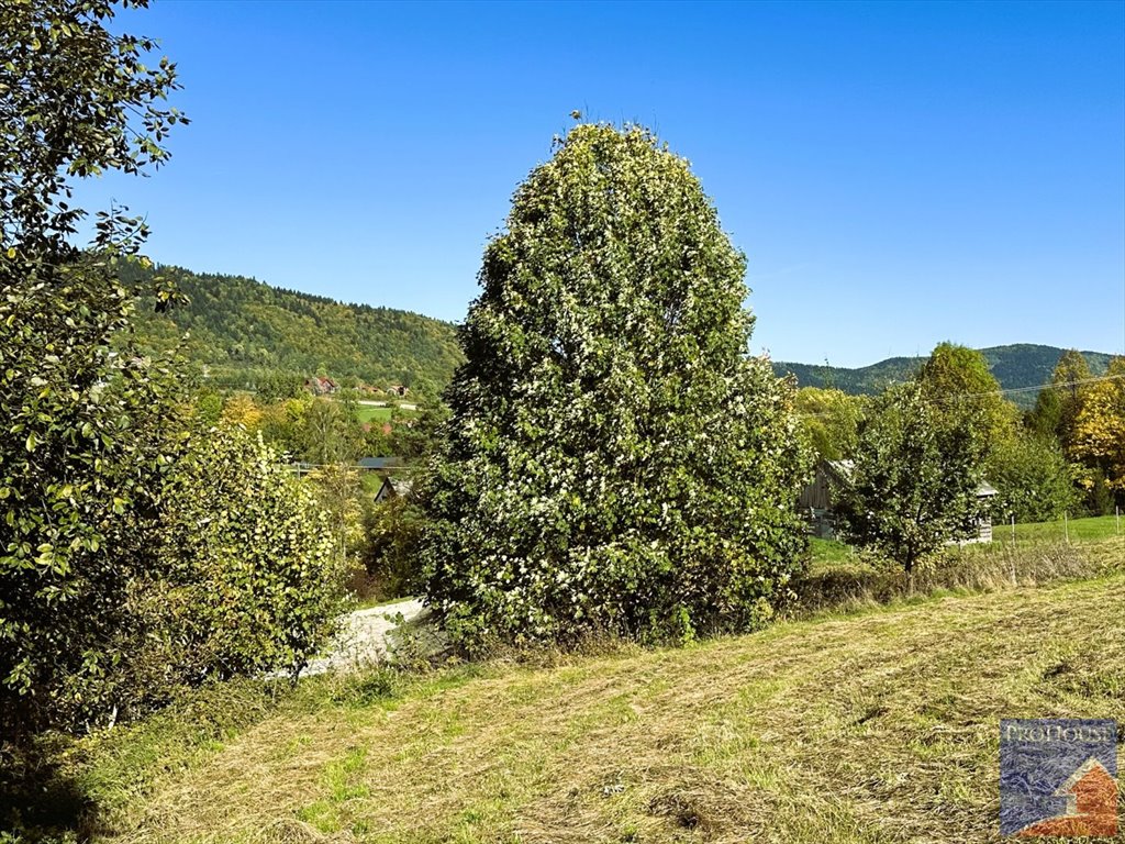 Działka budowlana na sprzedaż Pisarzowa  4 873m2 Foto 12