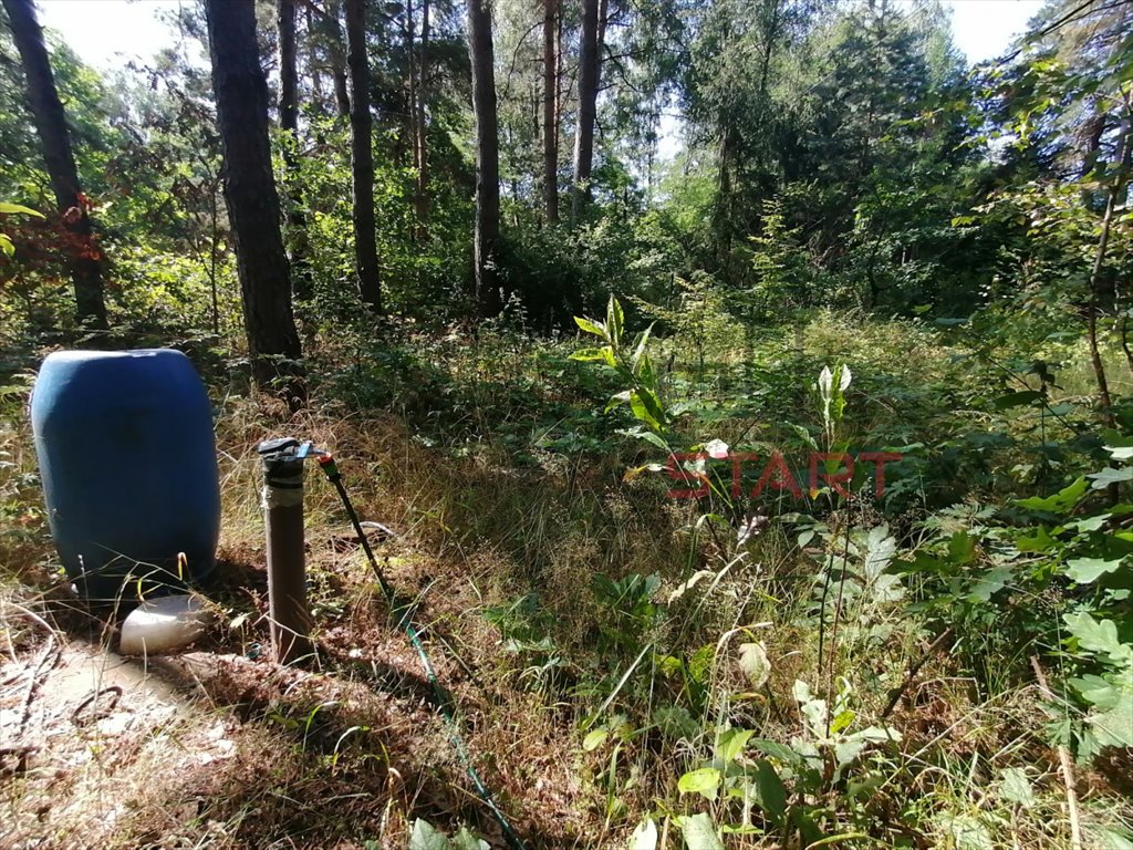 Działka budowlana na sprzedaż Krzyżówka  3 400m2 Foto 6