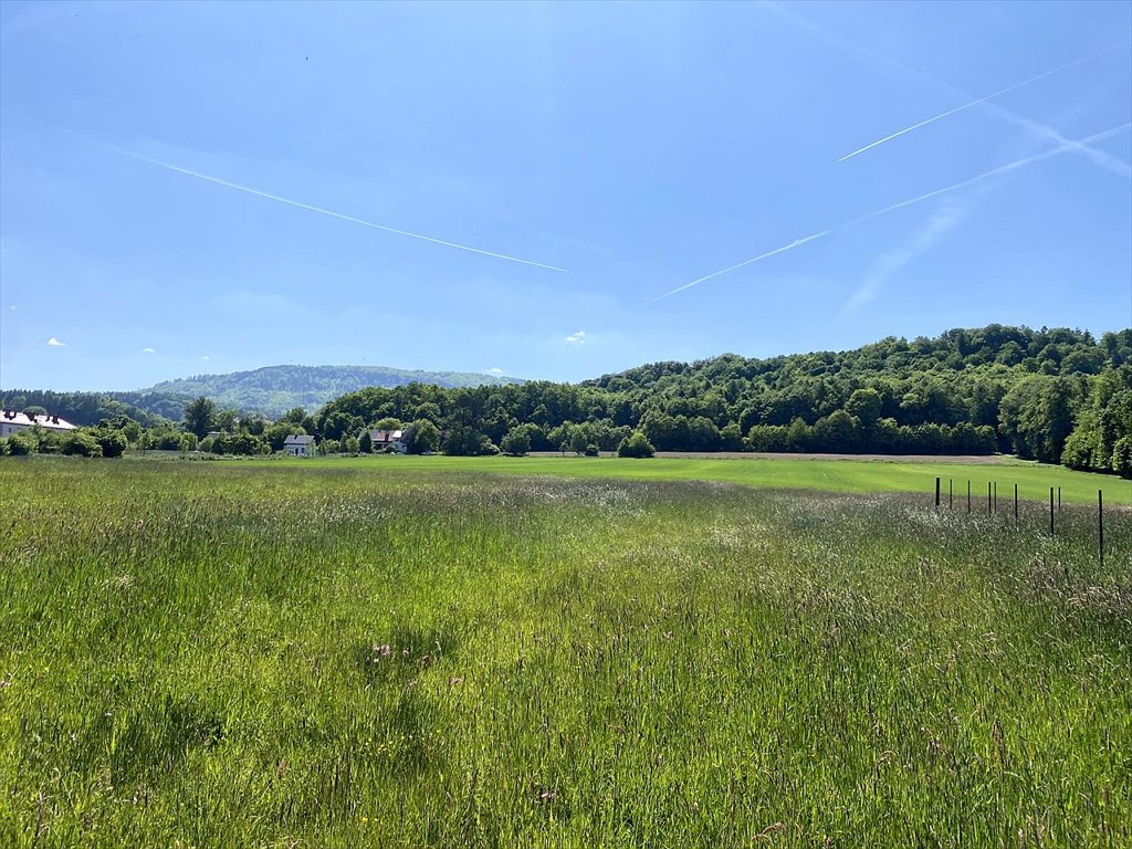 Działka budowlana na sprzedaż Cisownica, Cisownica, Jana Ożany  750m2 Foto 2