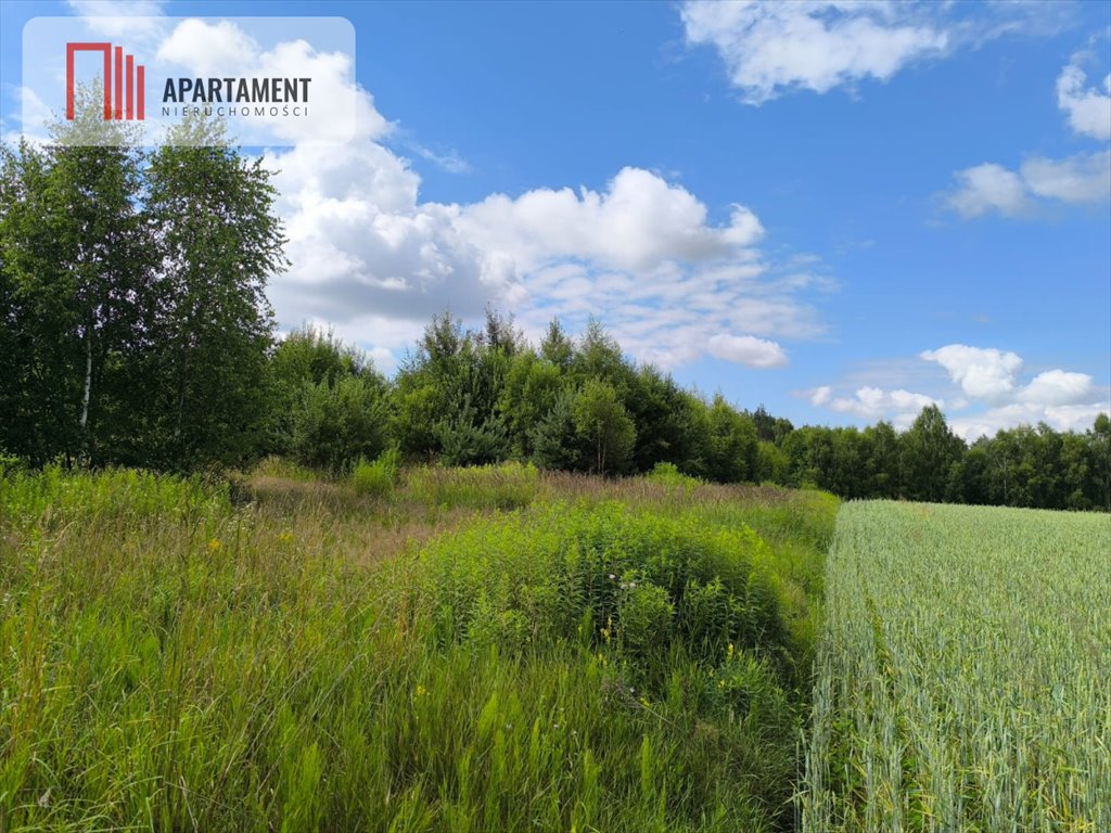 Działka gospodarstwo rolne na sprzedaż Grzybów  41 700m2 Foto 1