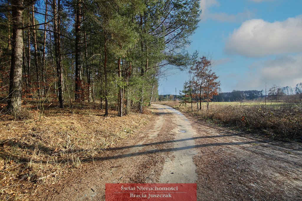 Działka budowlana na sprzedaż Weronikopole  3 700m2 Foto 3