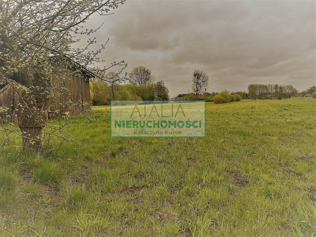 Do sprzedania działka 2,5 ha z domem i zabudowaniami Budy Zosine  25 000m2 Foto 1