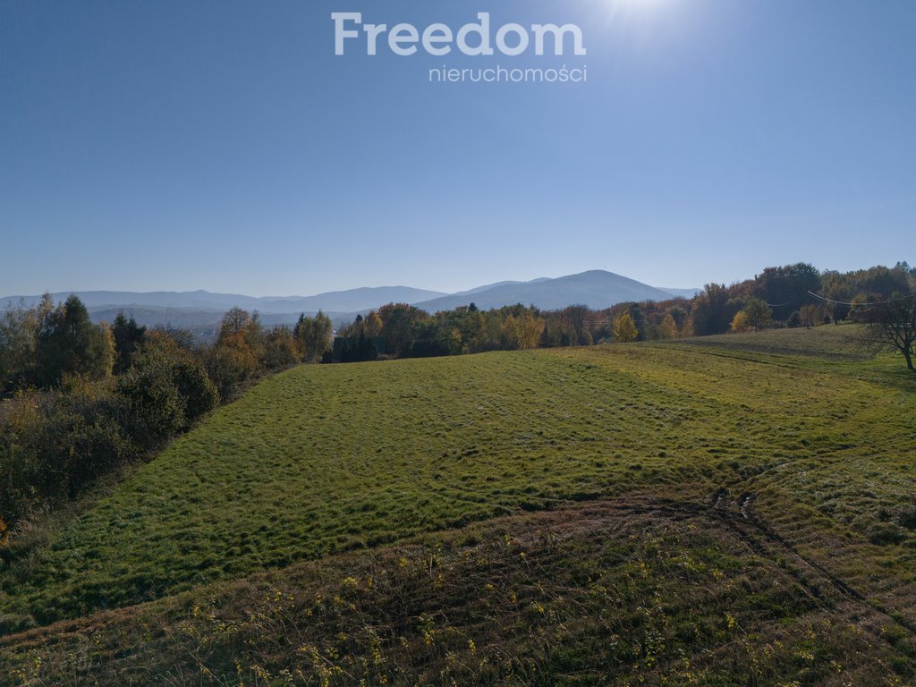 Działka budowlana na sprzedaż Raciechowice  4 600m2 Foto 11