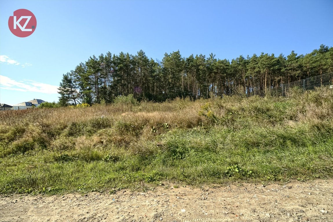 Zdjęcie 7