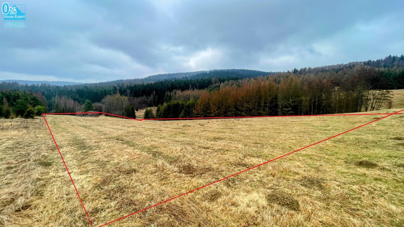 Działka rolna na sprzedaż Tylicz  16 765m2 Foto 1