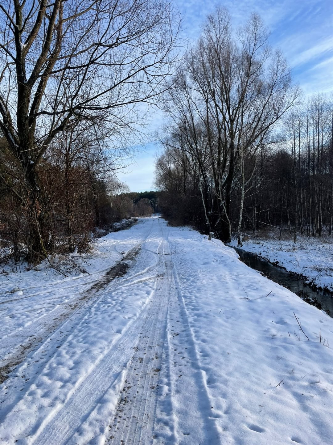 Działka leśna na sprzedaż Kowalewko, Szyjki  800m2 Foto 8