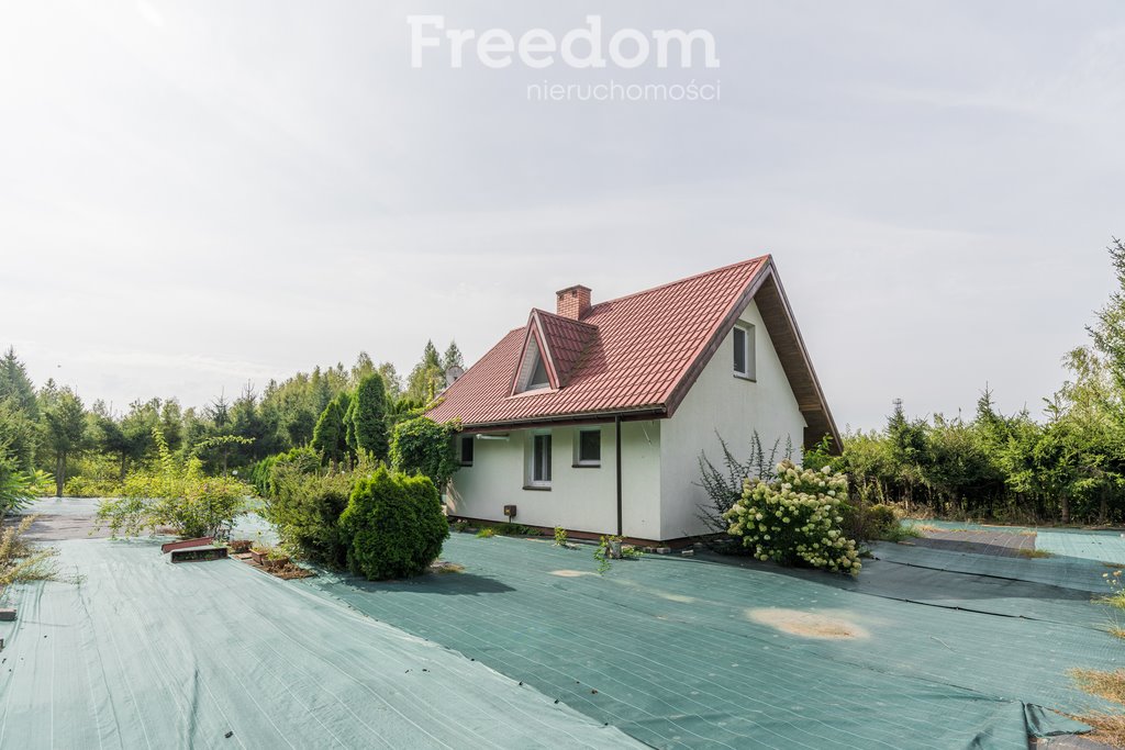 Działka siedliskowa na sprzedaż Sowia Wola, Puchacza  10 060m2 Foto 17