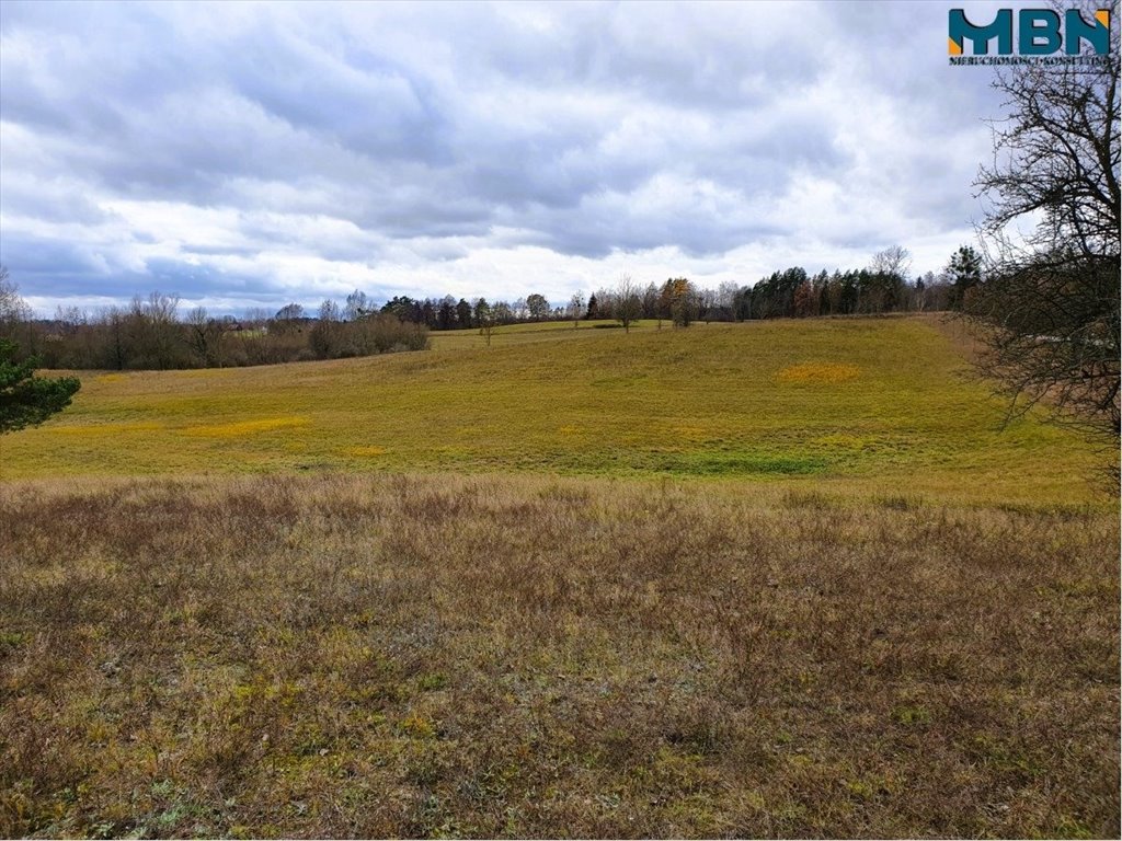 Działka rolna na sprzedaż Tuchlin, Tuchlin  65 579m2 Foto 2