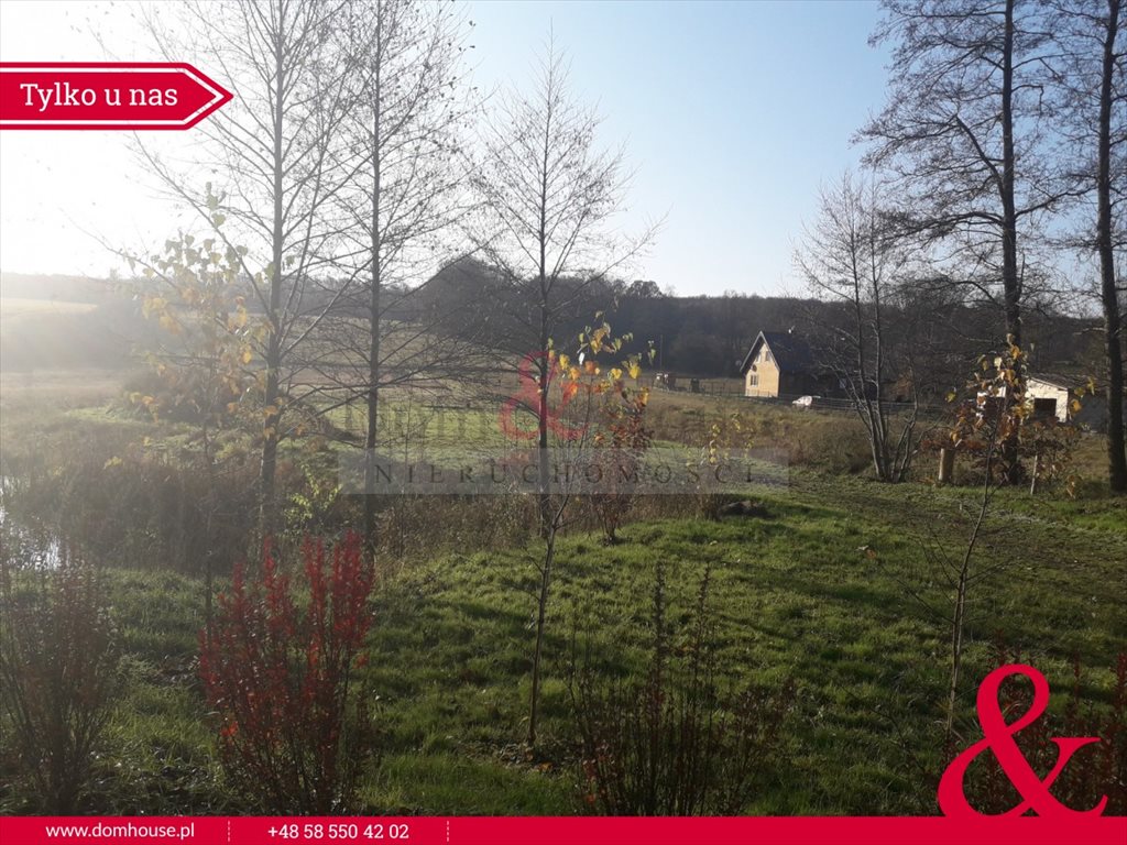 Działka rolna na sprzedaż Czapielsk, Słonecznikowa 6 272m2 Foto 1 Działka rolna na sprzedaż Czapielsk, Słonecznikowa 6 272m2 Foto 1