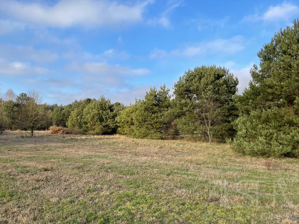 Działka rolna na sprzedaż Laskowizna  15 000m2 Foto 11