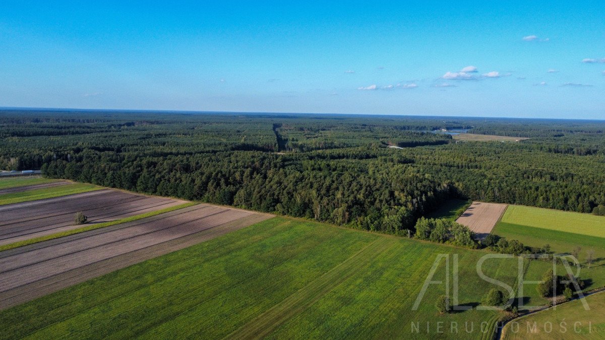 Działka inwestycyjna na sprzedaż Trzcianka  12 646m2 Foto 9