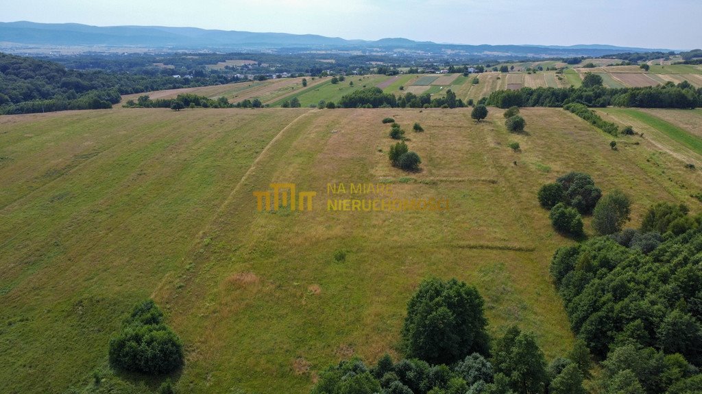 Działka rolna na sprzedaż Łężyny  1 500m2 Foto 8