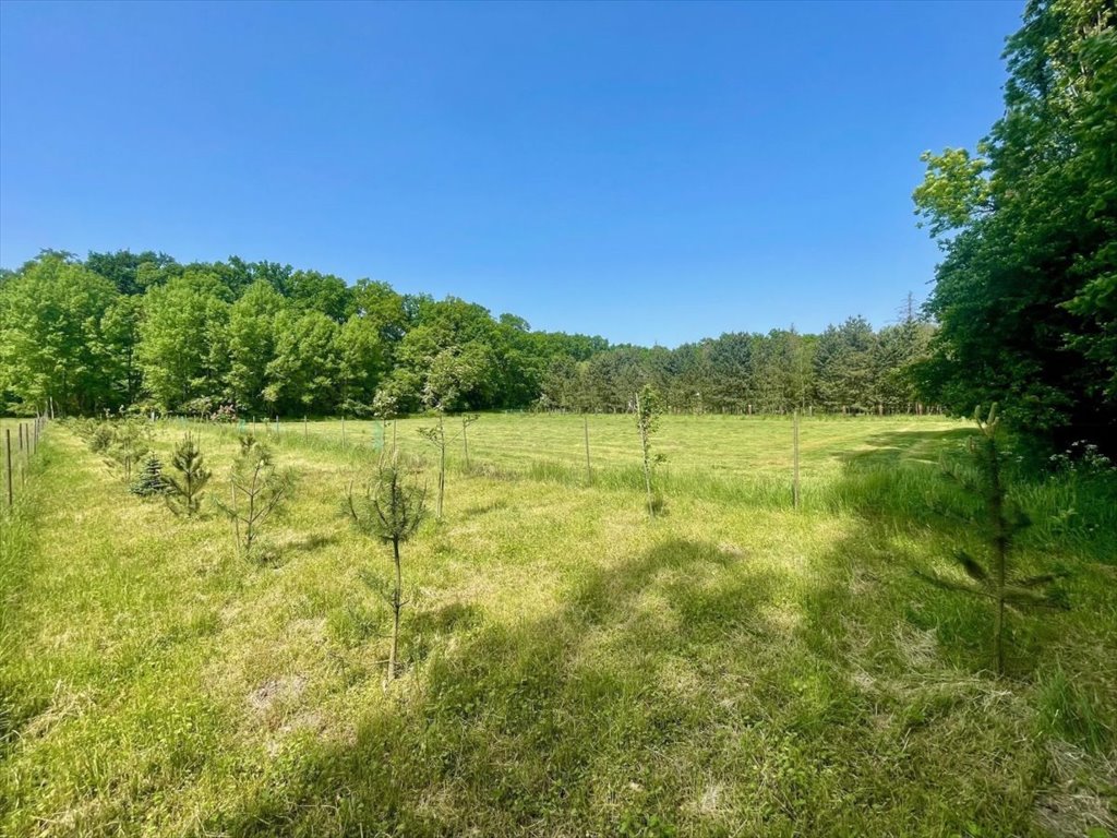 Działka budowlana na sprzedaż Bieczyny, Piękna  5 018m2 Foto 10