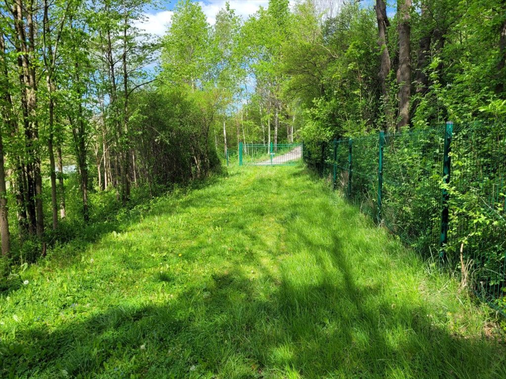 Działka budowlana na sprzedaż Rybnica  2 800m2 Foto 4