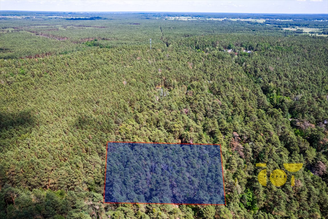 Dom z dużą działką w Wildze - potencjał i prywatność polecam Wilga  105m2 Foto 1