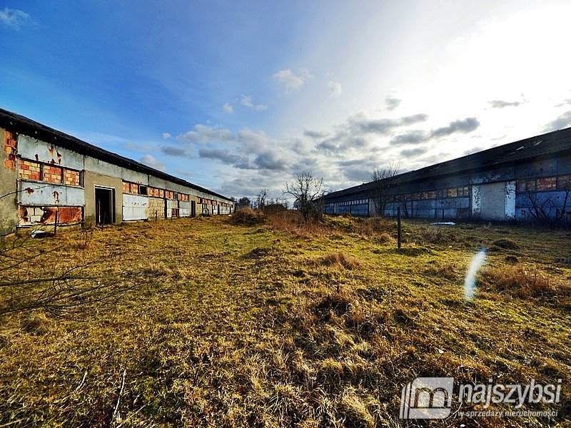 Lokal użytkowy na sprzedaż Choszczno  555 000m2 Foto 15