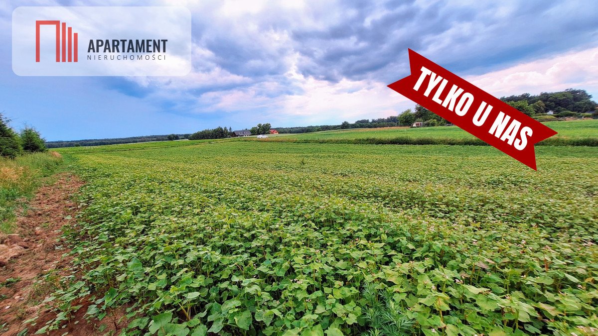 Działka budowlana na sprzedaż Garczyn  4 130m2 Foto 1