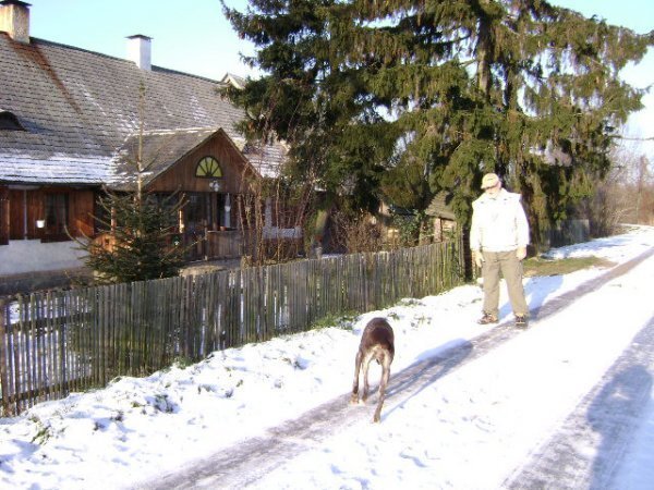 Dom na sprzedaż Szopy  200m2 Foto 8