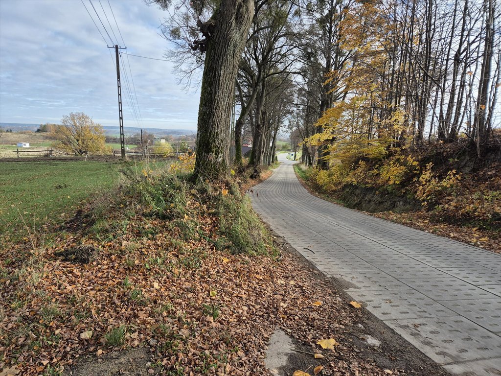 Działka budowlana na sprzedaż Barłomino  10 400m2 Foto 13