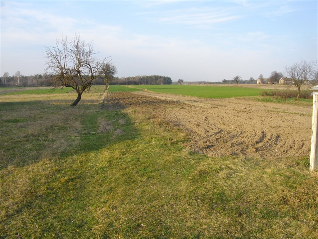 Działka gospodarstwo rolne na sprzedaż Czaplin  1 340 000m2 Foto 4