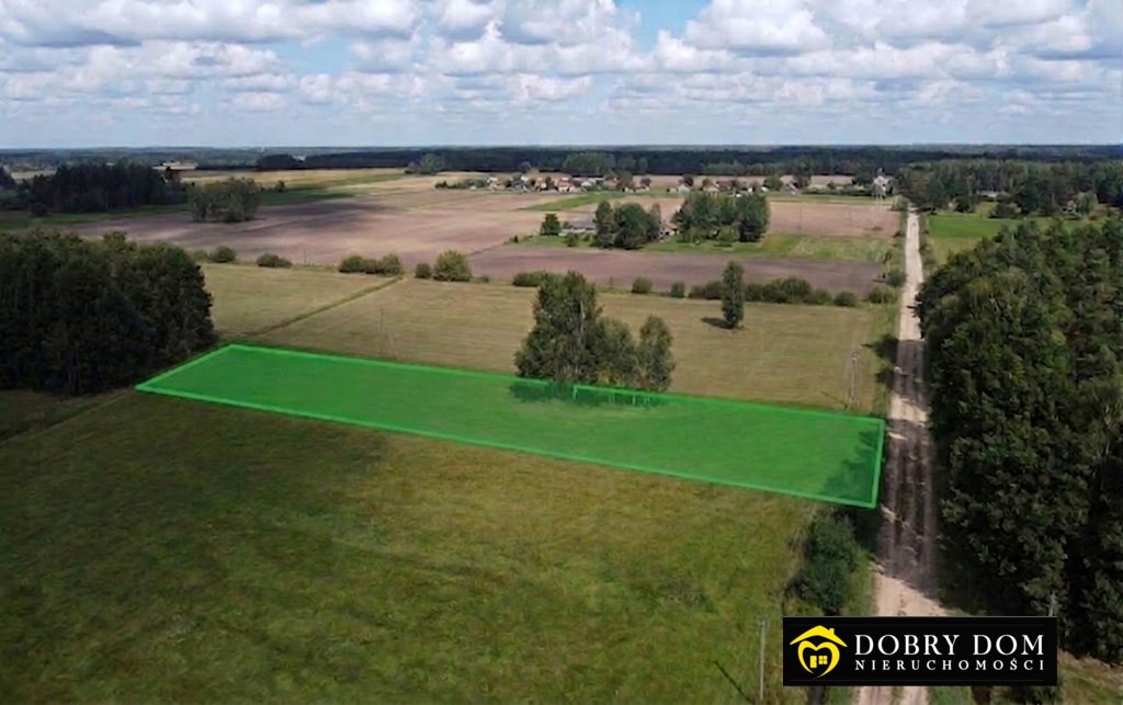 Polecam dużą działkę 9200 m² z warunkami zabudowy w Dobrzyniówce Dobrzyniówka  9 200m2 Foto 1