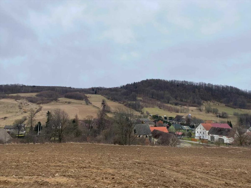 Działka inna na sprzedaż Złoty Stok  1 218m2 Foto 6