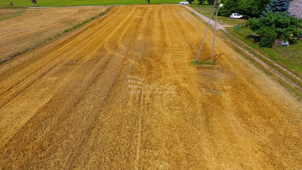 Działka siedliskowa na sprzedaż Czuszów  1 506m2 Foto 14