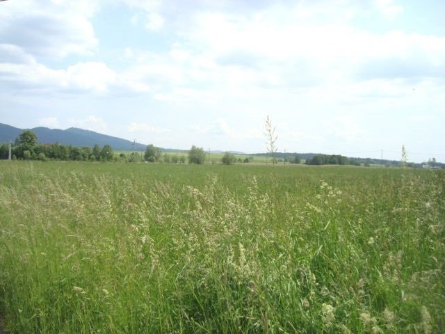 Rozległa działka 2505 m² z studnią i dobrym dojazdem Mieroszów  2 505m2 Foto 1