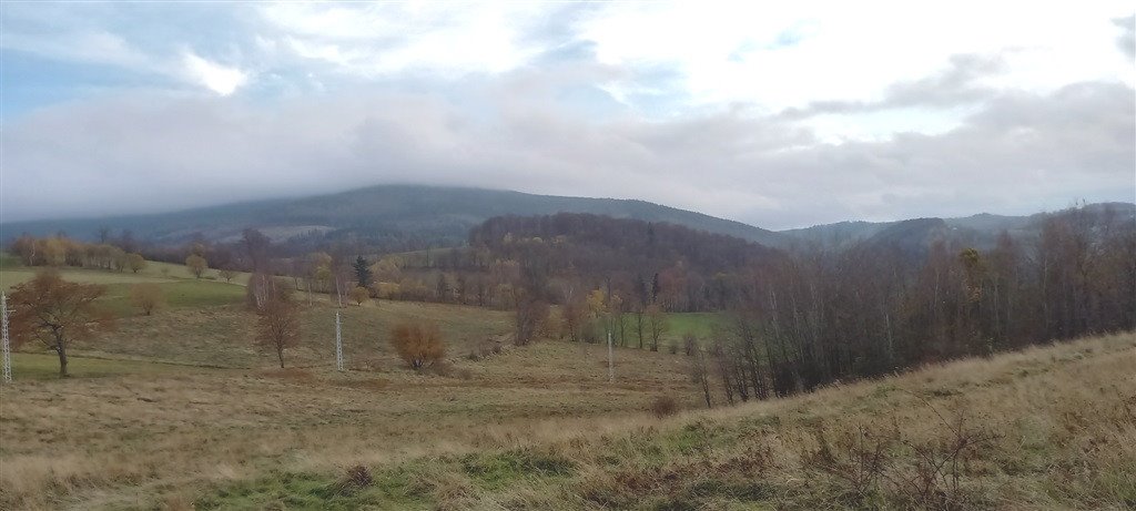 Działka inna na sprzedaż Walim  1 937m2 Foto 11